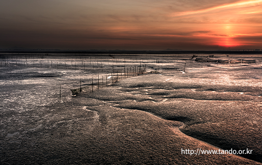 탄도어촌체험 마을